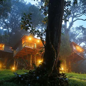 Semesteranläggning (resort) Nature Zone Jungle, Munnar